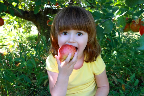 Ένα μήλο την ημέρα το γιατρό τον κάνει πέρα!
