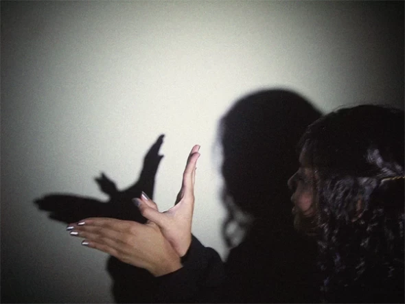 birdshadow-puppet