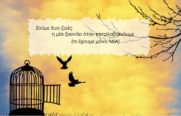 Ξαναδιαβάζοντας τον «Αλυσοδεμένο Ελέφαντα».