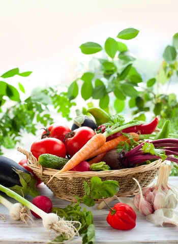 Βιολογικά λαχανικά