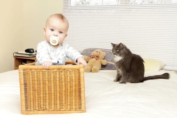 Μωρό και γάτα