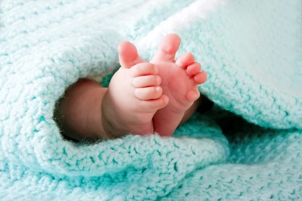 Αιχμαλωτίστε την λεπτομέρεια