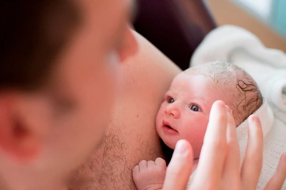 pateras frontida kagkouro