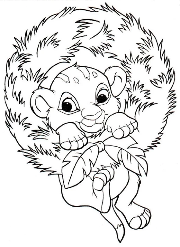 Siba