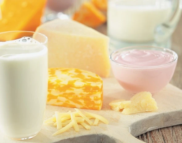 MilkCheeseYogurtMontage