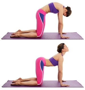 Θυμωμένη γάτα