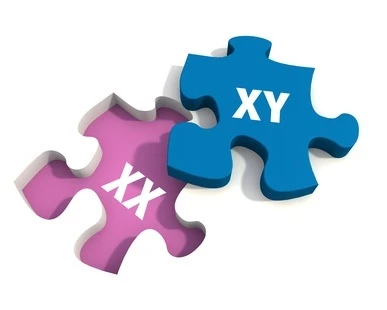 Χρωμοσώματα